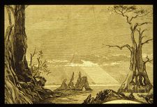 Great Dismal Swamp