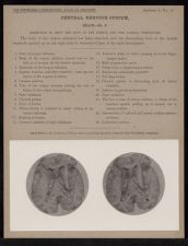 Central Nervous System. Brain - no. 8