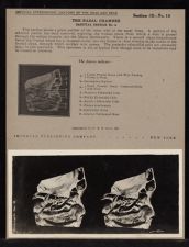 The Nasal Chamber Sagittal Section - no. 4