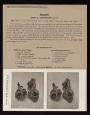 Thorax. Heart and Pericardium - no. 11