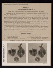 Thorax. Heart and Pericardium - no. 12