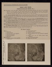 Head and Neck. Pterygo-Maxillary Region - no. 1