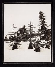 USS Saratoga crew on a ski trip