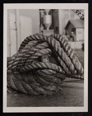 Various items, including a rope, Coke bottles, laundry on clothesline 
