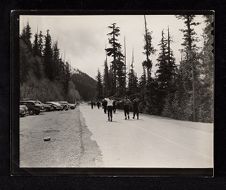 Ski trip. Mt Rainier. 1945. USS Saratoga Crew