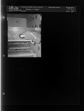 Woman in chair (1 Negatives) October 24-26, 1959 [Sleeve 64, Folder a, Box 19]