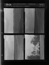 Thanksgiving feature (4 Negatives (November 21, 1959) [Sleeve 17, Folder c, Box 19]