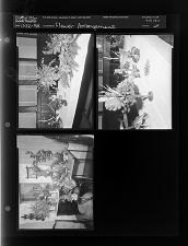 Flower arrangement (3 Negatives (November 22, 1959) [Sleeve 24, Folder c, Box 19]