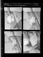 Turkey preparations (4 Negatives (November 26, 1959) [Sleeve 42, Folder c, Box 19]