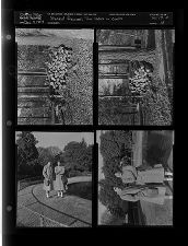 Stacked firewood; Two ladies in coats (4 Negatives (December 4, 1959) [Sleeve 18, Folder d, Box 19]