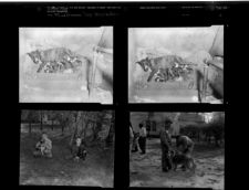 Dog Vaccination (4 Negatives) 1950s, undated [Sleeve 13, Folder d, Box 20]