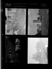 Dairy Farming (4 Negatives) 1950 [Sleeve 16, Folder e, Box 20]