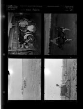 Dairy Farming (4 Negatives) 1950 [Sleeve 22, Folder e, Box 20]