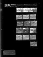 Man Dead of Exposure (16 Negatives), , January 10-12, 1966 [Sleeve 17, Folder a, Box 39]