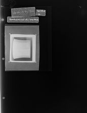 Reproduced Portrait of a lamp shade (1 Negative), February 15-16, 1966 [Sleeve 53, Folder b, Box 39]