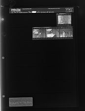 Portraits of a group of people (4 Negatives), February 15-16, 1966 [Sleeve 55, Folder b, Box 39]