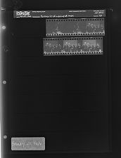 Portrait of a group of men (6 Negatives) (February 22, 1966) [Sleeve 73, Folder b, Box 39]