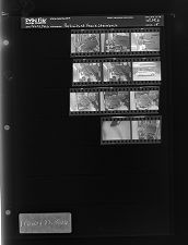 Portraits of Frank Steinbeck (11 Negatives) (February 22, 1966) [Sleeve 75, Folder b, Box 39]