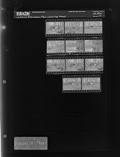 Men clearing trees (11 Negatives) (February 22, 1966) [Sleeve 77, Folder b, Box 39]