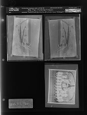 Reproduced portraits of a man in a hammock; Rose High Basketball Team (3 Negatives), March 5-7, 1966 [Sleeve 25, Folder c, Box 39]