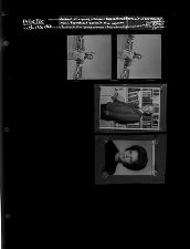 Portrait of a young person; Reproduced portrait of an older man; Reproduced portrait of a woman (4 Negatives), March 19-20, 1966 [Sleeve 64, Folder c, Box 39]