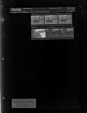 Man with a large cow (6 Negatives), March 23-24, 1966 [Sleeve 81, Folder c, Box 39]