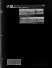 Linda's Farm Feature (6 Negatives) (March 31, 1966) [Sleeve 102, Folder c, Box 39]