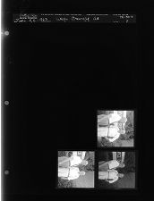 White Chevrolet advertisement (3 Negatives), June 4-5, 1963 [Sleeve 8, Folder a, Box 30]