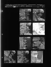 Putting in green tobacco (9 Negatives), June 20-21,1963 [Sleeve 35, Folder a, Box 30]