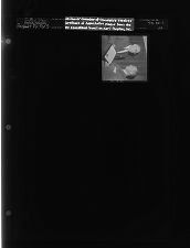 The North Carolina Junior Chamber of Commerce receives Certificate of Appreciation plaque from the North Carolina Educational Council on National Purposes, Inc. (1 Negative) (August 8, 1963) [Sleeve 20, Folder c, Box 30]