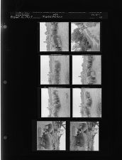 Market hog show (8 Negatives) (August 15, 1963) [Sleeve 44, Folder c, Box 30]