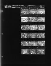 Sleeve 56, Folder c, Box 30