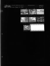 Back to School (7 Negatives) (August 28, 1963) [Sleeve 73, Folder c, Box 30]