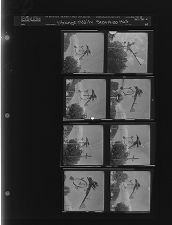 Strange Oddity (8 Negatives), September 19-20, 1963 [Sleeve 49, Folder d, Box 30]