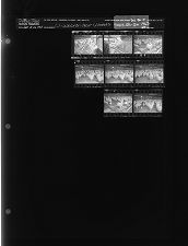 Chickens wear glasses (8 Negatives), September 25-26, 1963 [Sleeve 60, Folder d, Box 30]