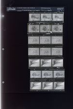 Flower show winners (21 Negatives) (October 2, 1963) [Sleeve 7, Folder e, Box 30]