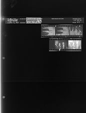 Group of men (5 Negatives) (November 16, 1963) [Sleeve 42, Folder a, Box 31]