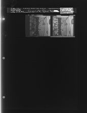 Greenville Police Rescue (2 Negatives), November 27-28, 1963 [Sleeve 80, Folder a, Box 31]