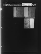 Peanut Field (3 Negatives), November 27-28, 1963 [Sleeve 81, Folder a, Box 31]