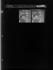 Salvation Army Contribution (2 Negatives) (December 10, 1963) [Sleeve 29, Folder b, Box 31]