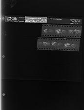 Wreck (6 Negatives) (December 9, 1963) [Sleeve 30, Folder b, Box 31]