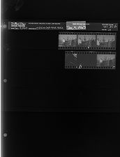 Optimist Tree Sale (5 Negatives) (December 9, 1963) [Sleeve 31, Folder b, Box 31]