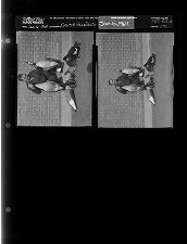 Sleeve 12, Folder a, Box 32