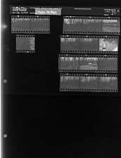 Clearing land (15 Negatives) (February 13, 1964) [Sleeve 47, Folder b, Box 32]
