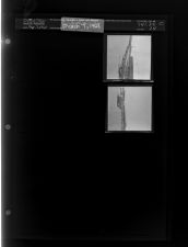 Chevy Car dealership lot (2 Negatives) (March 7, 1964) [Sleeve 24, Folder c, Box 32]