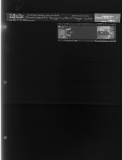 Miss Greenville Sugar Cube or Sugar Lump (2 Negatives), March 9-10, 1964 [Sleeve 25, Folder c, Box 32]