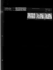 Poultry Chain (box of chicks) (3 Negatives) (March 18, 1964) [Sleeve 58, Folder c, Box 32]