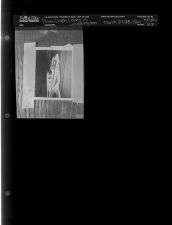 Plane crash lands in Washington (1 Negative), March 27-28, 1964 [Sleeve 103, Folder c, Box 32]