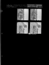 Garland's Farm Page (4 Negatives), April 17-18, 1964 [Sleeve 73, Folder d, Box 32]