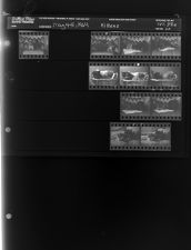 Kittens (11 Negatives), May 4-5, 1964 [Sleeve 20, Folder a, Box 33]